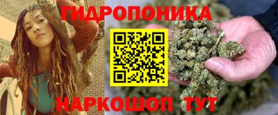 крисы Бузулук
